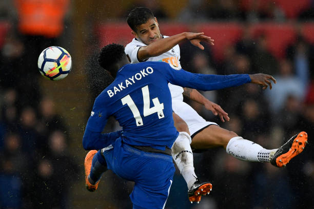 张继科的偶 张继科的偶