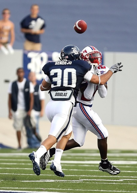 肘区与弧顶 肘区与弧顶